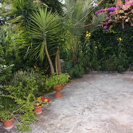 With Parking Space Maslinica, Solta - 5176 Apartamento *