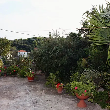 With Parking Space Maslinica, Solta - 5176