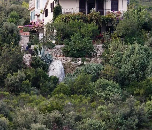 Apartamento With Parking Space Maslinica, Solta - 5176 Maslinica